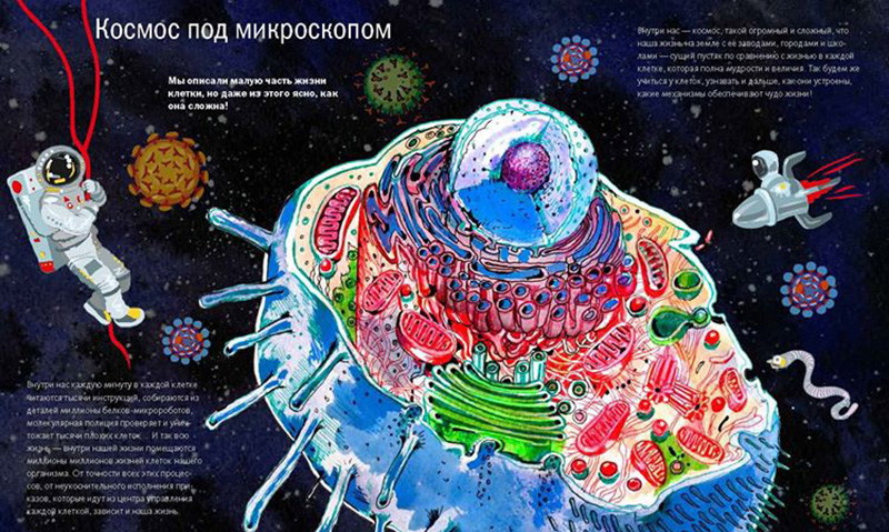 Лекция Юрия Нечипоренко «Космос живой клетки»